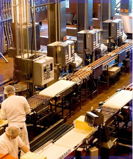 молокозавод в Беларуси молочный завод