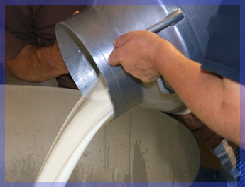 источник цельного молока цельное молоко